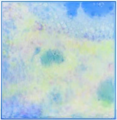 Wilderness No.1