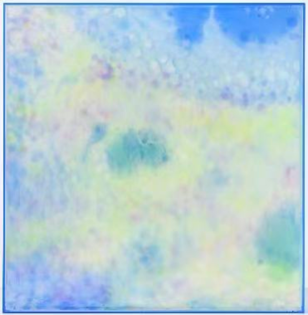 Wilderness No.1
