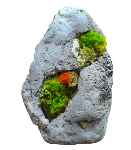 Renewal's Path II: Still it Grows 1