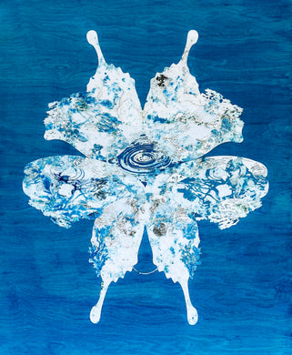 Kite Breeze of Blue Twilight